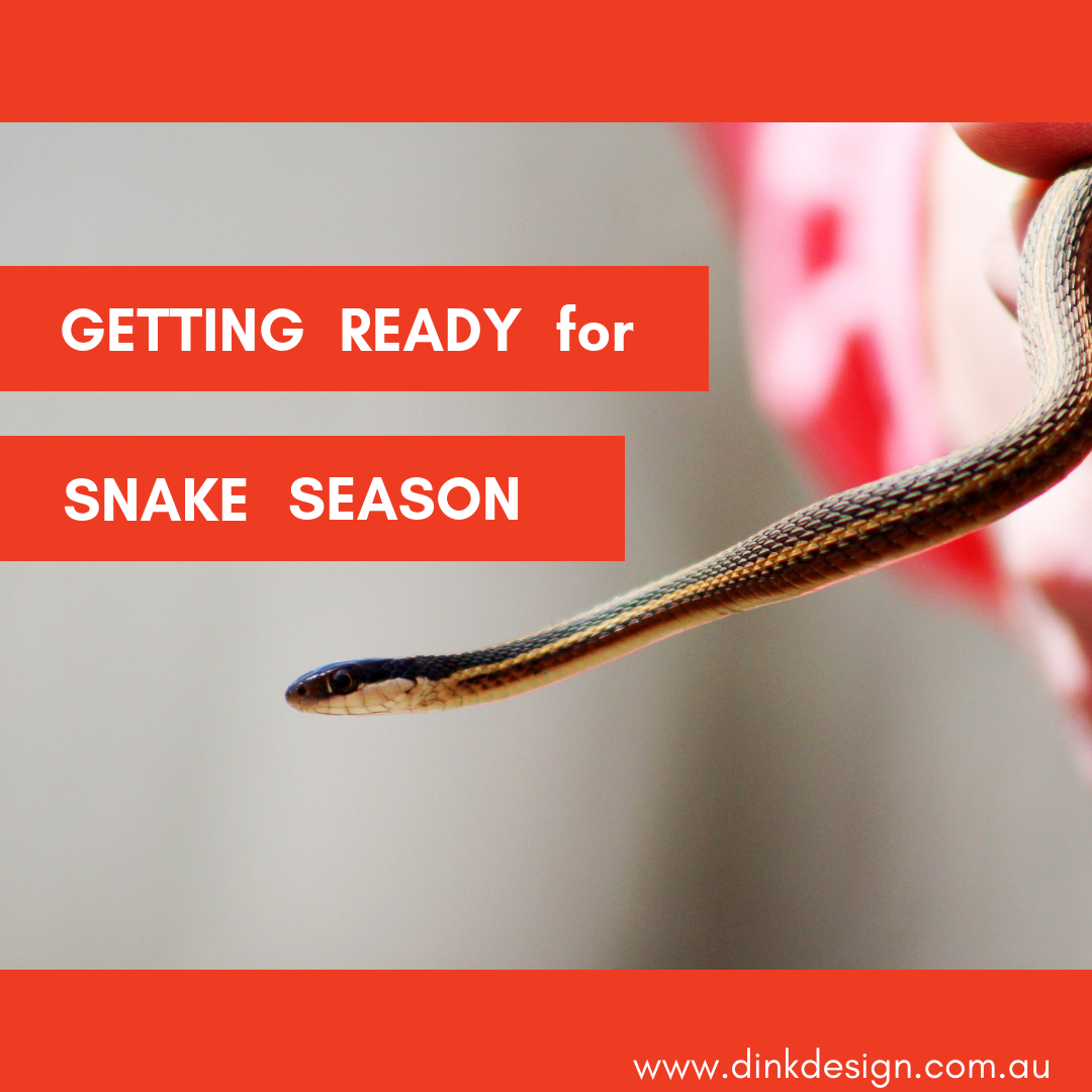 GETTING READY FOR SNAKE SEASON
